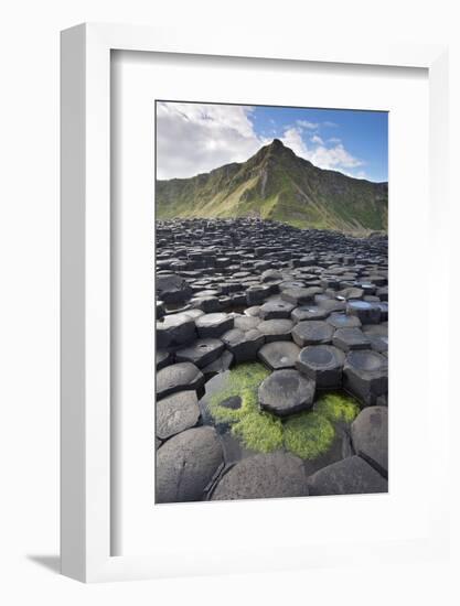 Giant'S Causeway, Looking In To Land, Causeway Coast-Bernard Castelein-Framed Photographic Print