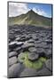 Giant'S Causeway, Looking In To Land, Causeway Coast-Bernard Castelein-Mounted Photographic Print