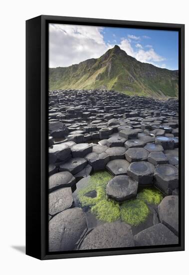 Giant'S Causeway, Looking In To Land, Causeway Coast-Bernard Castelein-Framed Stretched Canvas