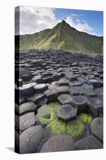 Giant'S Causeway, Looking In To Land, Causeway Coast-Bernard Castelein-Stretched Canvas