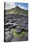 Giant'S Causeway, Looking In To Land, Causeway Coast-Bernard Castelein-Stretched Canvas