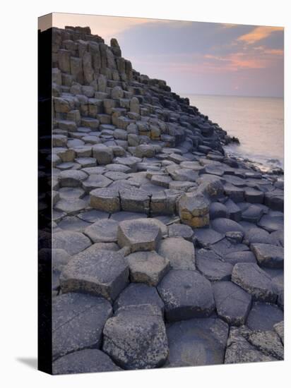 Giant's Causeway Near Bushmills, County Antrim, Ulster, Northern Ireland, UK-Neale Clarke-Stretched Canvas