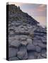 Giant's Causeway Near Bushmills, County Antrim, Ulster, Northern Ireland, UK-Neale Clarke-Stretched Canvas