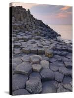 Giant's Causeway Near Bushmills, County Antrim, Ulster, Northern Ireland, UK-Neale Clarke-Stretched Canvas