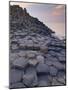 Giant's Causeway Near Bushmills, County Antrim, Ulster, Northern Ireland, UK-Neale Clarke-Mounted Photographic Print