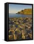 Giant's Causeway Near Bushmills, County Antrim, Ulster, Northern Ireland, UK-Neale Clarke-Framed Stretched Canvas