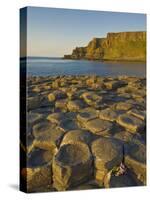 Giant's Causeway Near Bushmills, County Antrim, Ulster, Northern Ireland, UK-Neale Clarke-Stretched Canvas