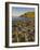 Giant's Causeway Near Bushmills, County Antrim, Ulster, Northern Ireland, UK-Neale Clarke-Framed Photographic Print