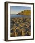 Giant's Causeway Near Bushmills, County Antrim, Ulster, Northern Ireland, UK-Neale Clarke-Framed Photographic Print