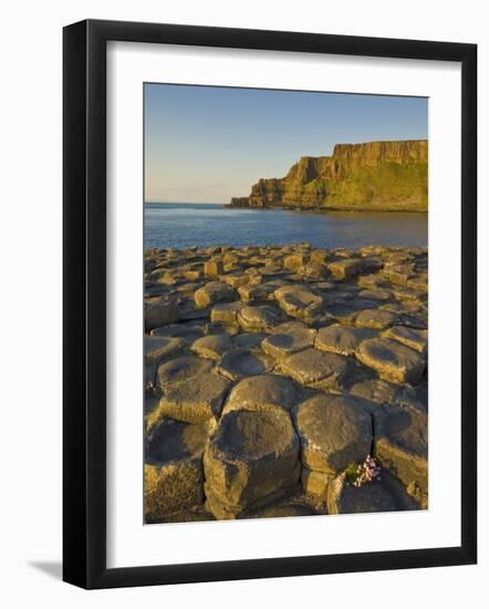 Giant's Causeway Near Bushmills, County Antrim, Ulster, Northern Ireland, UK-Neale Clarke-Framed Photographic Print