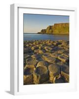 Giant's Causeway Near Bushmills, County Antrim, Ulster, Northern Ireland, UK-Neale Clarke-Framed Photographic Print