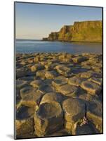 Giant's Causeway Near Bushmills, County Antrim, Ulster, Northern Ireland, UK-Neale Clarke-Mounted Photographic Print