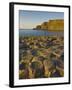 Giant's Causeway Near Bushmills, County Antrim, Ulster, Northern Ireland, UK-Neale Clarke-Framed Photographic Print