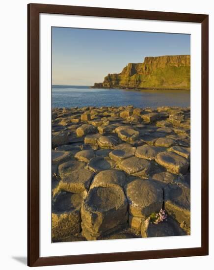 Giant's Causeway Near Bushmills, County Antrim, Ulster, Northern Ireland, UK-Neale Clarke-Framed Photographic Print