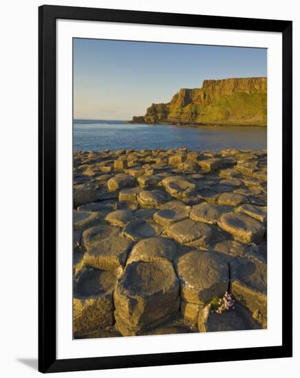 Giant's Causeway Near Bushmills, County Antrim, Ulster, Northern Ireland, UK-Neale Clarke-Framed Photographic Print