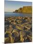 Giant's Causeway Near Bushmills, County Antrim, Ulster, Northern Ireland, UK-Neale Clarke-Mounted Photographic Print