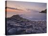 Giant's Causeway Near Bushmills, County Antrim, Ulster, Northern Ireland, UK-Neale Clarke-Stretched Canvas