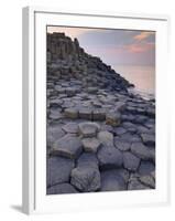 Giant's Causeway Near Bushmills, County Antrim, Ulster, Northern Ireland, UK-Neale Clarke-Framed Photographic Print