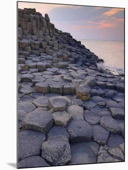 Giant's Causeway Near Bushmills, County Antrim, Ulster, Northern Ireland, UK-Neale Clarke-Mounted Photographic Print