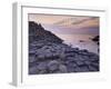 Giant's Causeway Near Bushmills, County Antrim, Ulster, Northern Ireland, UK-Neale Clarke-Framed Photographic Print