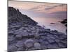 Giant's Causeway Near Bushmills, County Antrim, Ulster, Northern Ireland, UK-Neale Clarke-Mounted Photographic Print