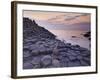 Giant's Causeway Near Bushmills, County Antrim, Ulster, Northern Ireland, UK-Neale Clarke-Framed Photographic Print