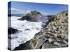 Giant's Causeway on the Causeway Coast,37,000 Hexagonal Basalt Columns, County Antrim-Gavin Hellier-Stretched Canvas