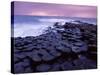 Giant's Causeway, Unesco World Heritage Site, Causeway Coast, Northern Ireland, United Kingdom-Patrick Dieudonne-Stretched Canvas