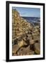 Giant's Causeway, UNESCO World Heritage Site, County Antrim, Ulster, Northern Ireland, United Kingd-Nigel Hicks-Framed Premium Photographic Print