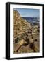 Giant's Causeway, UNESCO World Heritage Site, County Antrim, Ulster, Northern Ireland, United Kingd-Nigel Hicks-Framed Photographic Print