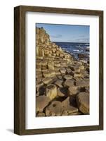 Giant's Causeway, UNESCO World Heritage Site, County Antrim, Ulster, Northern Ireland, United Kingd-Nigel Hicks-Framed Photographic Print