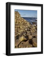 Giant's Causeway, UNESCO World Heritage Site, County Antrim, Ulster, Northern Ireland, United Kingd-Nigel Hicks-Framed Photographic Print