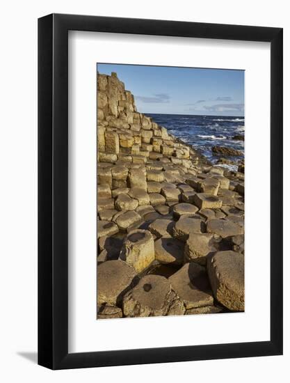 Giant's Causeway, UNESCO World Heritage Site, County Antrim, Ulster, Northern Ireland, United Kingd-Nigel Hicks-Framed Photographic Print