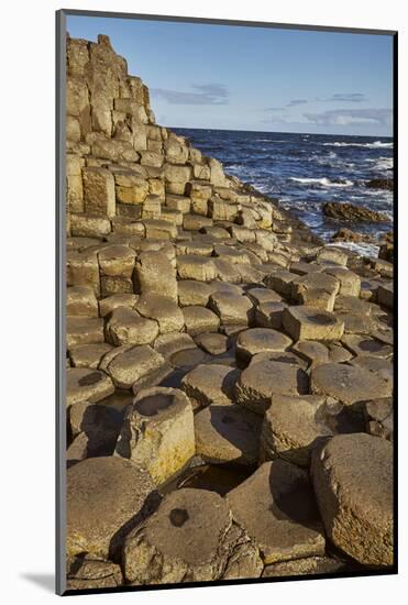 Giant's Causeway, UNESCO World Heritage Site, County Antrim, Ulster, Northern Ireland, United Kingd-Nigel Hicks-Mounted Photographic Print