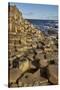 Giant's Causeway, UNESCO World Heritage Site, County Antrim, Ulster, Northern Ireland, United Kingd-Nigel Hicks-Stretched Canvas