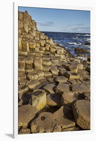 Giant's Causeway, UNESCO World Heritage Site, County Antrim, Ulster, Northern Ireland, United Kingd-Nigel Hicks-Framed Premium Photographic Print