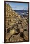 Giant's Causeway, UNESCO World Heritage Site, County Antrim, Ulster, Northern Ireland, United Kingd-Nigel Hicks-Framed Premium Photographic Print