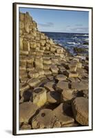 Giant's Causeway, UNESCO World Heritage Site, County Antrim, Ulster, Northern Ireland, United Kingd-Nigel Hicks-Framed Premium Photographic Print