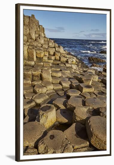 Giant's Causeway, UNESCO World Heritage Site, County Antrim, Ulster, Northern Ireland, United Kingd-Nigel Hicks-Framed Premium Photographic Print