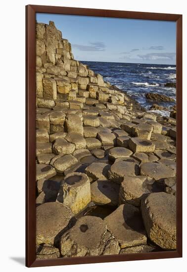 Giant's Causeway, UNESCO World Heritage Site, County Antrim, Ulster, Northern Ireland, United Kingd-Nigel Hicks-Framed Premium Photographic Print