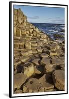 Giant's Causeway, UNESCO World Heritage Site, County Antrim, Ulster, Northern Ireland, United Kingd-Nigel Hicks-Framed Premium Photographic Print