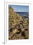 Giant's Causeway, UNESCO World Heritage Site, County Antrim, Ulster, Northern Ireland, United Kingd-Nigel Hicks-Framed Photographic Print