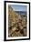 Giant's Causeway, UNESCO World Heritage Site, County Antrim, Ulster, Northern Ireland, United Kingd-Nigel Hicks-Framed Photographic Print