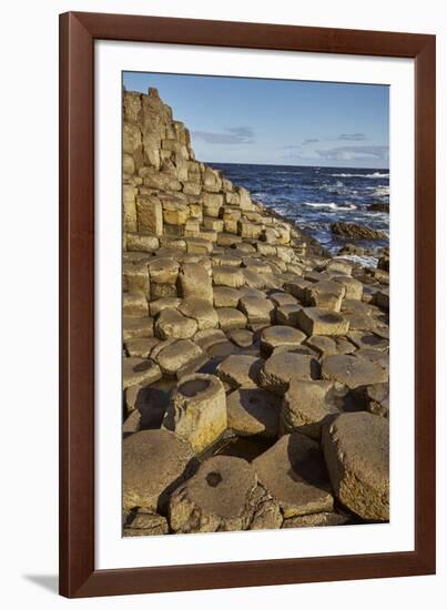 Giant's Causeway, UNESCO World Heritage Site, County Antrim, Ulster, Northern Ireland, United Kingd-Nigel Hicks-Framed Photographic Print