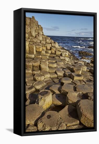 Giant's Causeway, UNESCO World Heritage Site, County Antrim, Ulster, Northern Ireland, United Kingd-Nigel Hicks-Framed Stretched Canvas