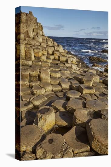 Giant's Causeway, UNESCO World Heritage Site, County Antrim, Ulster, Northern Ireland, United Kingd-Nigel Hicks-Stretched Canvas