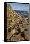 Giant's Causeway, UNESCO World Heritage Site, County Antrim, Ulster, Northern Ireland, United Kingd-Nigel Hicks-Framed Stretched Canvas