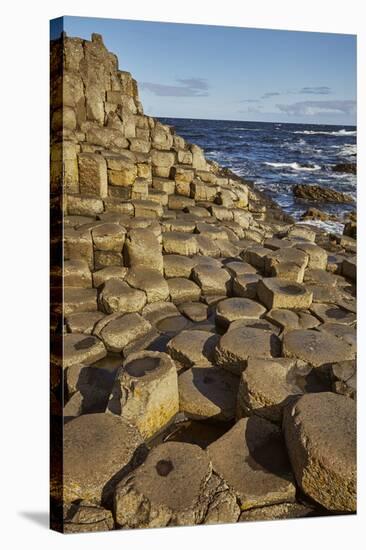 Giant's Causeway, UNESCO World Heritage Site, County Antrim, Ulster, Northern Ireland, United Kingd-Nigel Hicks-Stretched Canvas