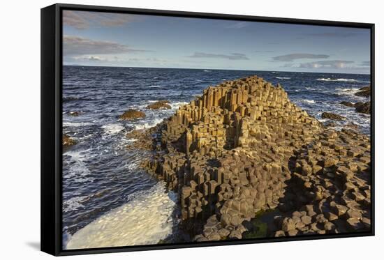 Giant's Causeway, UNESCO World Heritage Site, County Antrim, Ulster, Northern Ireland, United Kingd-Nigel Hicks-Framed Stretched Canvas
