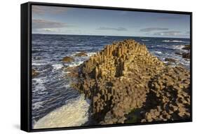 Giant's Causeway, UNESCO World Heritage Site, County Antrim, Ulster, Northern Ireland, United Kingd-Nigel Hicks-Framed Stretched Canvas